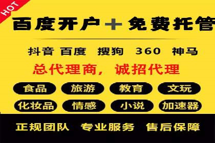 谷歌SEM广告策略：某电商平台的成功逆袭案例